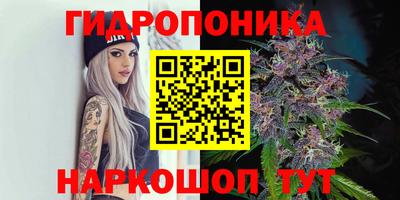 стафф Мариинск