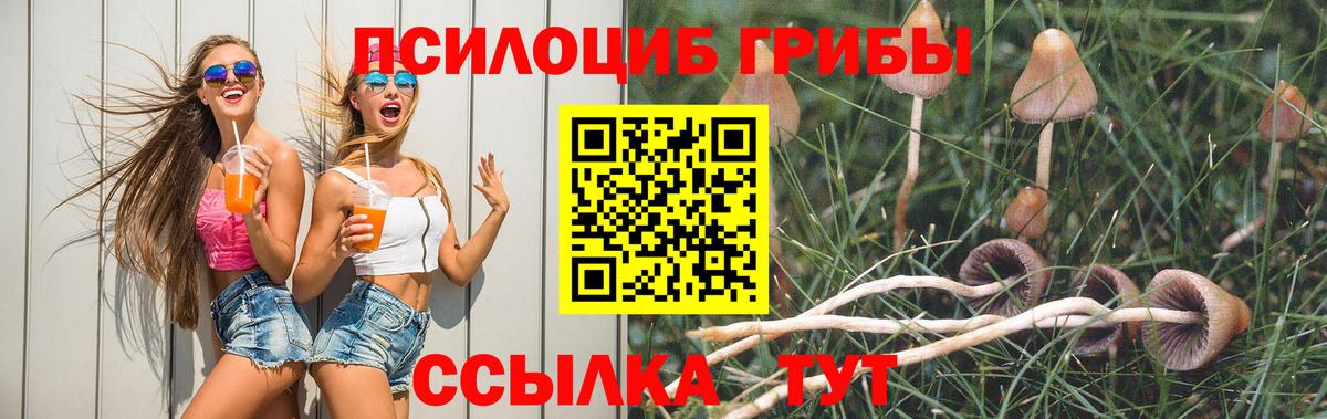Галлюциногенные грибы прущие грибы Екатеринбург